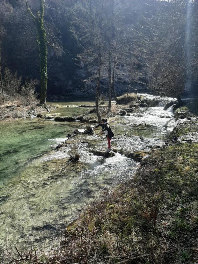 Ranch Farm Stay غاكوفيتسا المظهر الخارجي الصورة