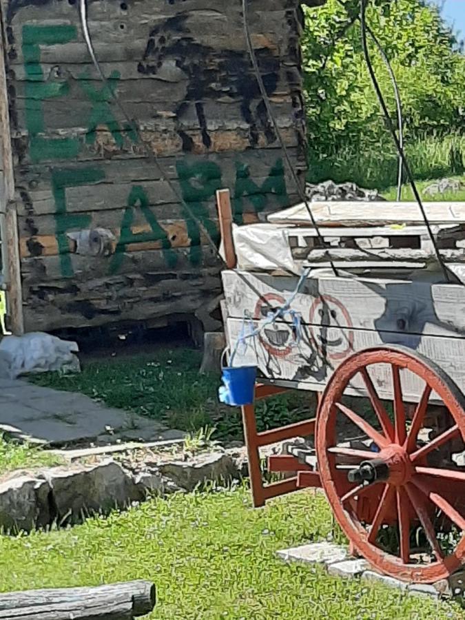 Ranch Farm Stay غاكوفيتسا المظهر الخارجي الصورة